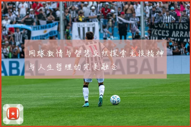 网球激情与智慧交织探索竞技精神与人生哲理的完美融合