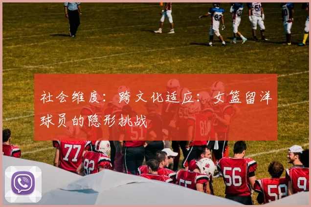 社会维度：跨文化适应：女篮留洋球员的隐形挑战