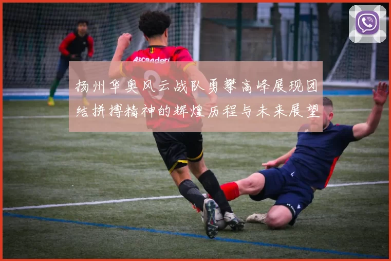 扬州华奥风云战队勇攀高峰展现团结拼搏精神的辉煌历程与未来展望