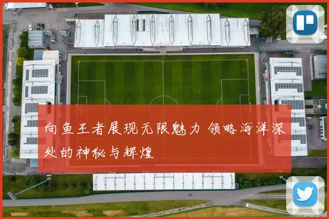 向鱼王者展现无限魅力 领略海洋深处的神秘与辉煌