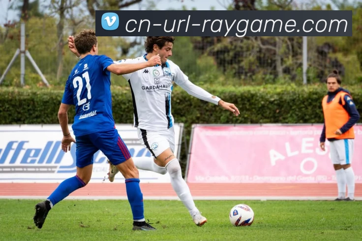 雷竞技RayGame发展历程