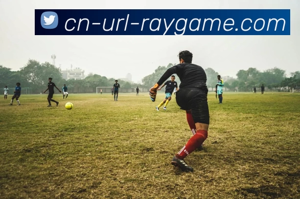 雷竞技RayGame服务体系